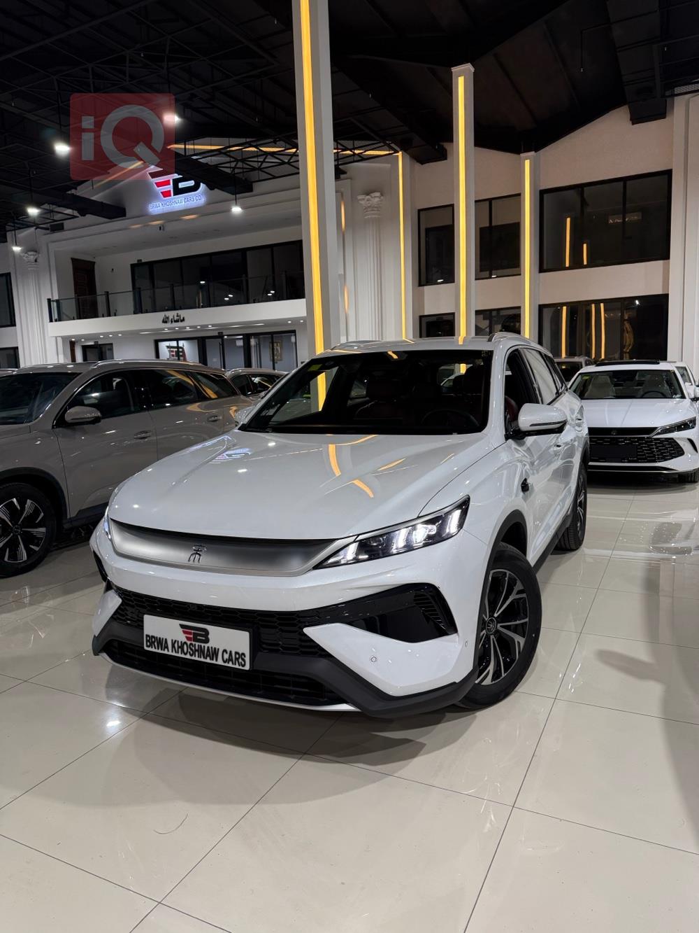 بي واي دي ‎سونغ برو DM-i